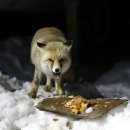 대원 태양광발전소 이미지