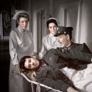 허리우드 이미지