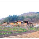 여주-0411 네이버블로그