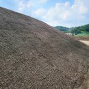 용인초등학교 뒤 법면도로 | 습식 코아네트 시공 극대화한 씨앗의 발아율