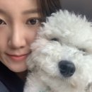 슈기하우스