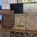 멕시칸 | 성신여대 맛집 이터스 멕시칸 파히타 후기