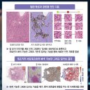 네이쳐메디칼 이미지