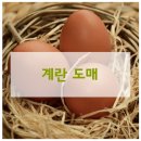 청솔유통 이미지