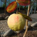 기현2농장 이미지