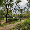 골마을근린공원 이미지