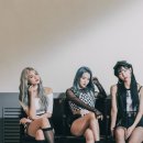 웨이브메이커 이미지