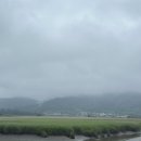 갈대정원 | 순천만국가정원 3시간 30분 관람후기(스카이큐브 갈대밭 식물원 국가정원)