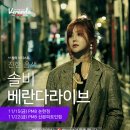 달콤가 데일리안