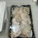 백김치새싹막회우아 이미지