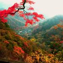 가을단풍을 탐미하는 길, 장성 백양사와 백암산을 가다/11월 7일 이미지