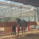 순산목장 이미지