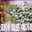 핸드드립 1일 1잔/블랜딩 커피원두인 커피메이커 프로젝트를 마치며.../에티오피아 할로 예가체프G1/칼리타웨이브 이미지