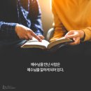 [주일 말씀] 근원(15) - 내가 아우를 지키는 자니이까? 이미지