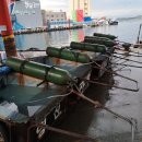 묵호어판장 이미지