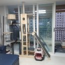 히든캣
