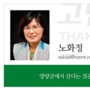 숲과벗 이미지