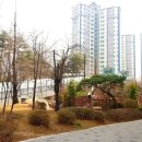 자명어린이공원 이미지