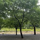 래미안밸리캠핑장 | [전라도 캠핑] 완주 래미안밸리 캠핑장 후기, 31번 사이트,대전근교캠핑장, 계곡뷰 캠핑장, 우중캠핑