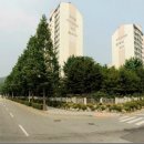 분당-240 이미지