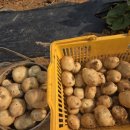 대선농장 이미지