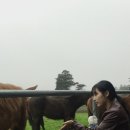 호진목장 이미지