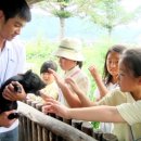 풀잎농장 이미지