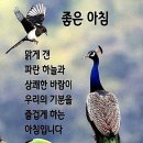 공존(共存) 이미지