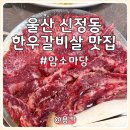 한우마당숯불고기 | 울산 신정동 고기집 암소마당 한우 갈비살 맛집 방문 솔직 후기