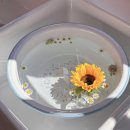 삼춘옛날통닭 이미지