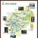 홍일상사 이미지