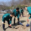 희망나무심기3 이미지