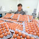 대조농장 이미지