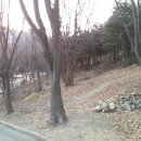 계양산산림욕장(장미원) 이미지