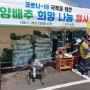 효돈농업협동조합 이미지