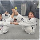 성원태권도 이미지