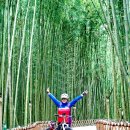 고래정원 이미지