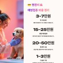 반려견 돌봄센터 일구삼 | 📋 반려동물 입양 전 필수 체크리스트 무료 배포｜보험·장비·병원비까지 한번에 정리