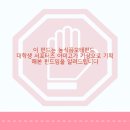 대한꽃도매 이미지