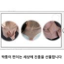 천연 진주목걸이 3종을 드립니다 이미지