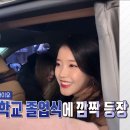 프리지아직구