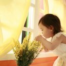 레몬테라스 이미지