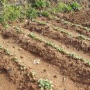 연성농장 이미지