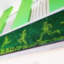 남한강초등학교 병설유치원 이미지