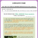 만다린 이미지