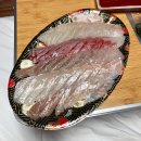 속초관광수산시장(2층 A동) | 속초 고성 회포장 맛집 비치수산회센터 가성비 갑 모둠회 후기
