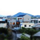 스테이 심심 이미지