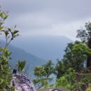 대순진리회 이미지