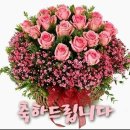 입선 이미지