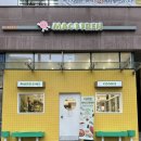 마쿠렌 | 서울 송파구 문정동 카페 마쿠렌 MACOOREN 쿠키 맛집, 바나나 푸딩 맛집 / 개인작업, 노트북하기 좋은...